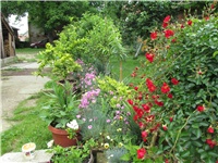 9e5e91ee-Picture 793.jpg